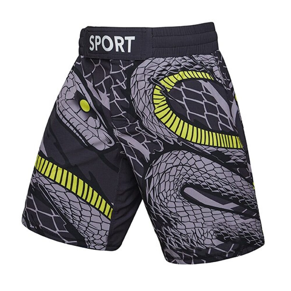 Martial Art Shorts